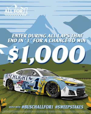 Image post by @BuschBeer on Twitter