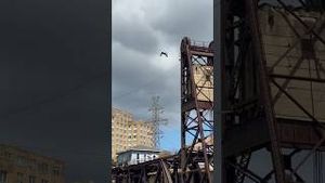 Video post by @nitrocircus on YouTube