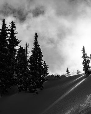 Image post by @noahwetzel on Instagram