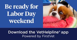 Image post by @company/nationwidepet on LinkedIn