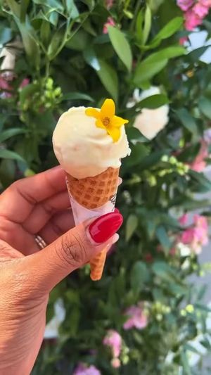Video post by @ScoopSanDiego on Facebook