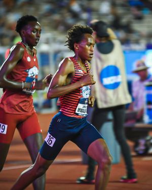 Image post by @zagrunning on Instagram