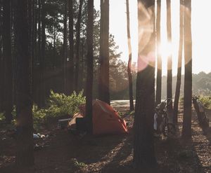 Image post by @lieandloft on Instagram