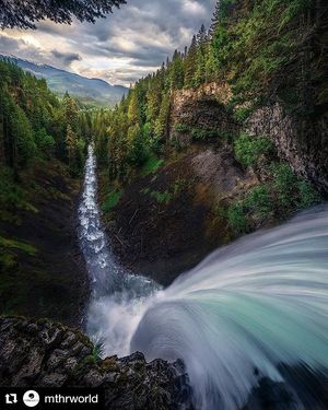 Image post by @dan.molano on Instagram