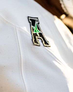 Image post by @meangreenfb on Instagram