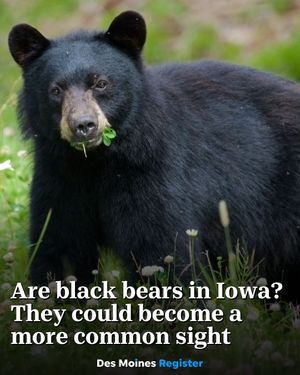 Image post by @dmregister on Instagram