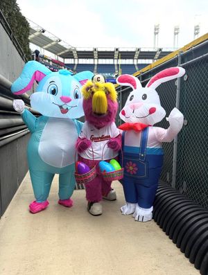 Image post by @SliderTheMascot on Twitter