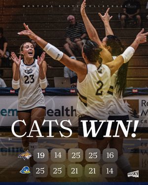 Image post by @msubobcatsvb on Instagram