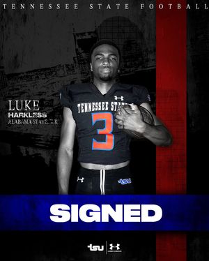 Image post by @tsutigersfb on Instagram