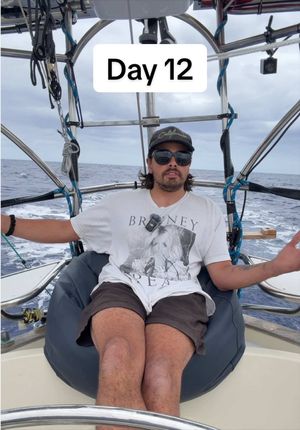 Video post by @sailing_with_phoenix on TikTok