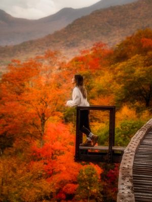 Image post by @gracefkim on Instagram