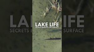 Video post by @curiositystreaming on YouTube