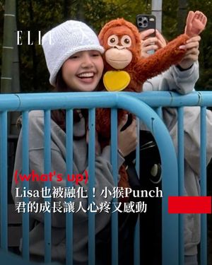 Image post by @elletaiwan on Instagram