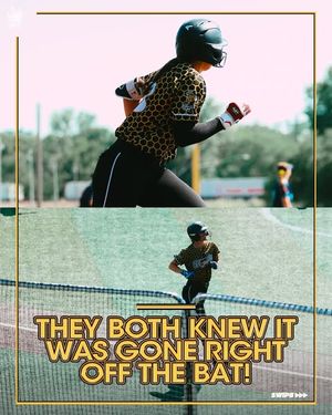 Image post by @honeybeessoftball on Instagram