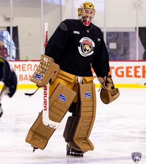 Image post by @goaliegearnerd on Instagram