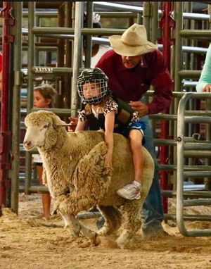 Image post by @fayettecofairtx on Instagram