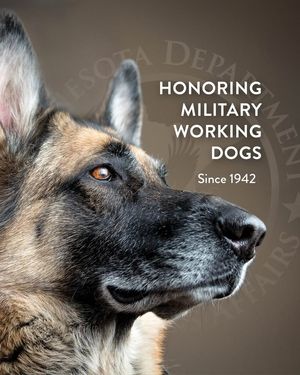 Image post by @MinnesotaDepartmentOfVeteransAffairs on Facebook