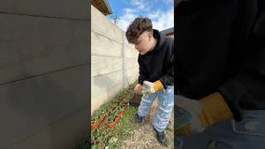 Video post by @isilent on YouTube