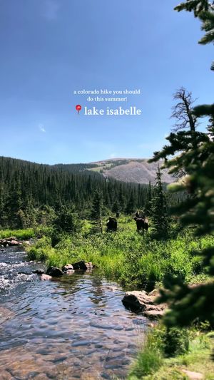 Video post by @filmbychloeg on TikTok