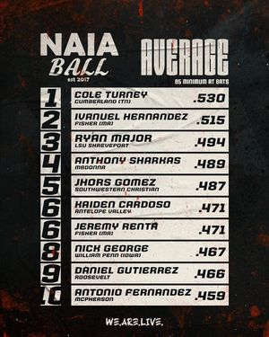 Image post by @naiaball on Instagram