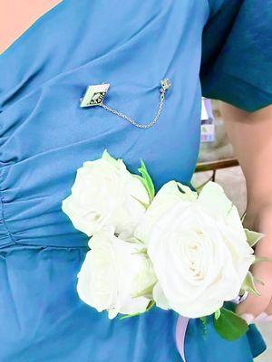 Image post by @alabamaadpi on Instagram