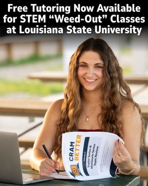 Image post by @lsutigertv on Instagram