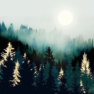 Image post by @spacefrogdesigns on Instagram