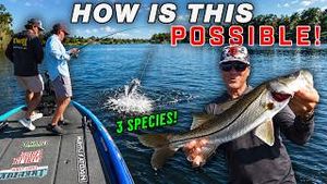 Video post by @scottmartinchallenge on YouTube