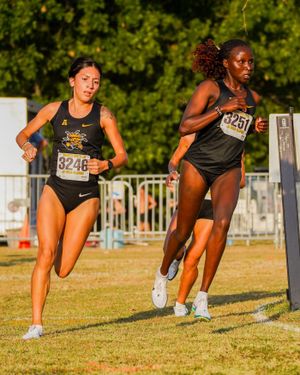 Image post by @goshockerstfxc on Instagram