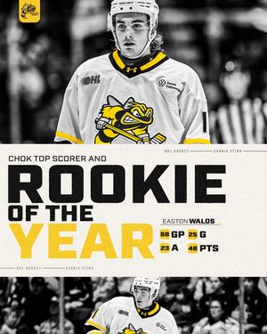 Image post by @stinghockey on Instagram
