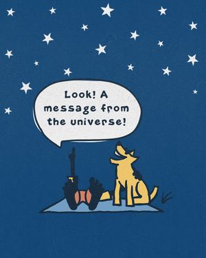 Image post by @lifeisgoodco on Instagram