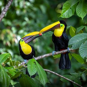 Image post by @animalplanet on Instagram