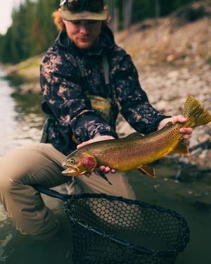 Image post by @driftlinemedia on Instagram