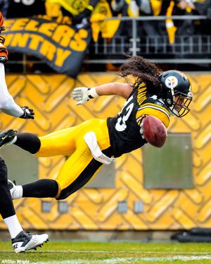Image post by @steelers on Instagram