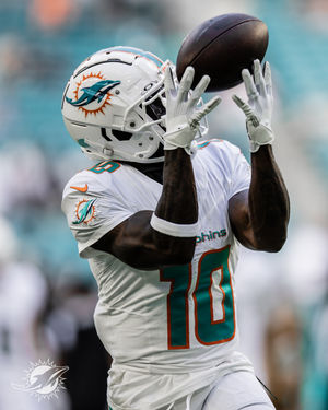 Image post by @dolphins_br on Instagram