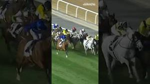 Video post by @worldhorseracing on YouTube