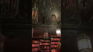 Video post by @danielleclardy on YouTube