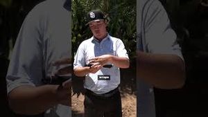 Video post by @jsinternationalltd on YouTube