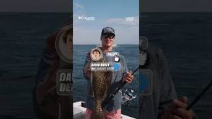 Video post by @1801mediaco on YouTube