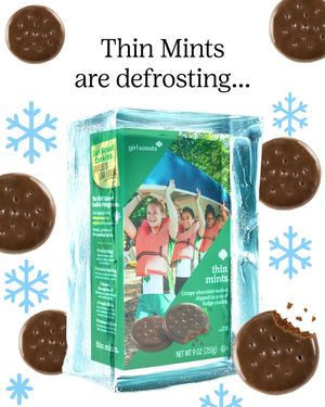 Image post by @girlscouts on Instagram