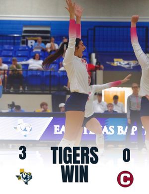 Image post by @goetbutigers on Instagram