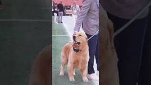 Video post by @espn on YouTube