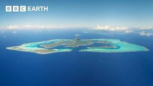 Video post by @bbcearth on YouTube
