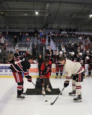 Image post by @alabamahockeyd3 on Instagram