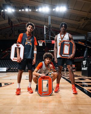 Image post by @beaverdam on Instagram