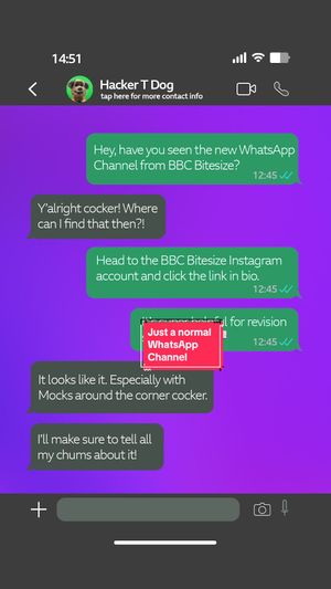 Video post by @cbbc on TikTok
