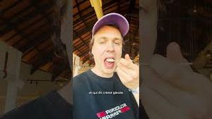 Video post by @Arnaud Soly on YouTube
