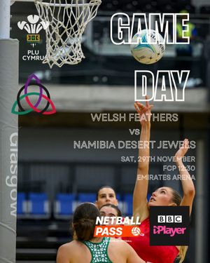 Image post by @walesnetball_ on Instagram