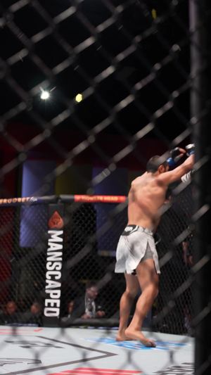 Video post by @ufc on TikTok