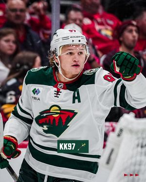Image post by @minnesotawild on Instagram